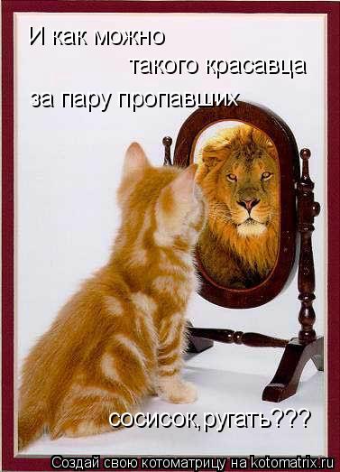 И как можно такого красавца за пару пропавших сосисок,ругать???... Котоматрица: И как можно такого красавца за пару пропавших сосисок,ругать???