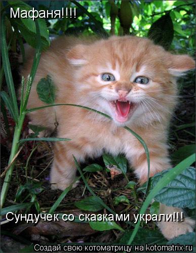 Мафаня!!!! Сундучек со сказками украли!!!... Котоматрица: Мафаня!!!! Сундучек со сказками украли!!!