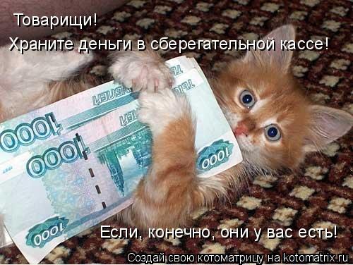 Котоматрица: Товарищи!  Храните деньги в сберегательной кассе! Если, конечно, они у вас есть!