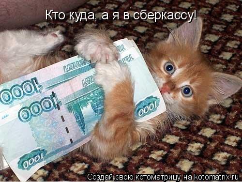 Кто куда, а я в сберкассу!... Котоматрица: Кто куда, а я в сберкассу!