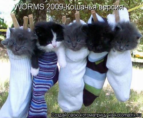 WORMS 2009-Кошачья версия... Котоматрица: WORMS 2009-Кошачья версия