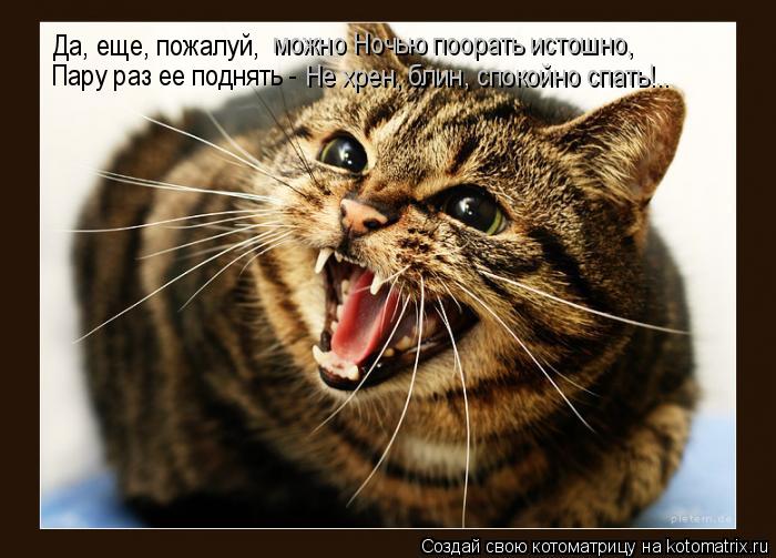 Да, еще, пожалуй, можно Ночью поорать истошно, Пару раз ее поднять - Не хрен, блин, спокойно спать... Котоматрица: Да, еще, пожалуй, можно Ночью поорать истошно, Пару раз ее поднять - Не хрен, блин, спокойно спать!..