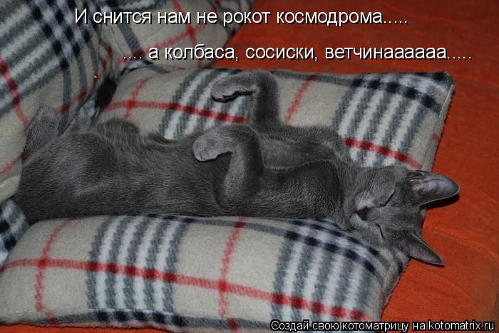 Котоматрица: И снится нам не рокот космодрома..... .... а колбаса, сосиски, ветчинаааааа.....
