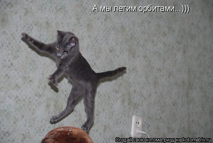 Котоматрица: А мы летим орбитами...)))