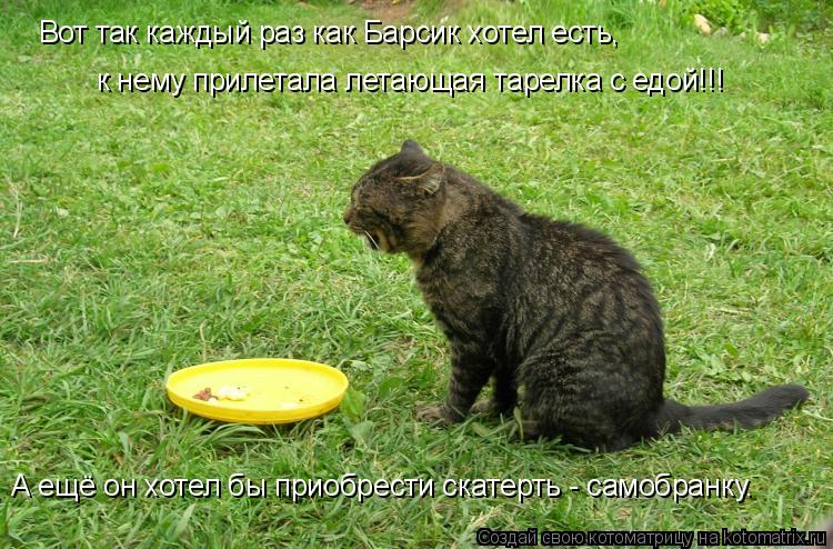 Котоматрица: Вот так каждый раз как Барсик хотел есть, к нему прилетала летающая тарелка с едой!!! А ещё он хотел бы приобрести скатерть - самобранку.
