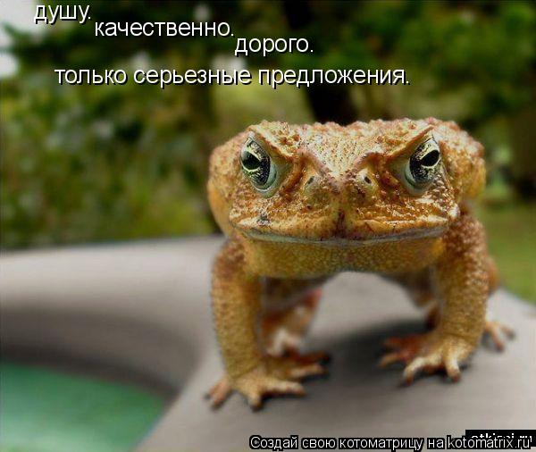 душу. качественно. дорого. только серьезные предложения.... Котоматрица: душу. качественно. дорого. только серьезные предложения.
