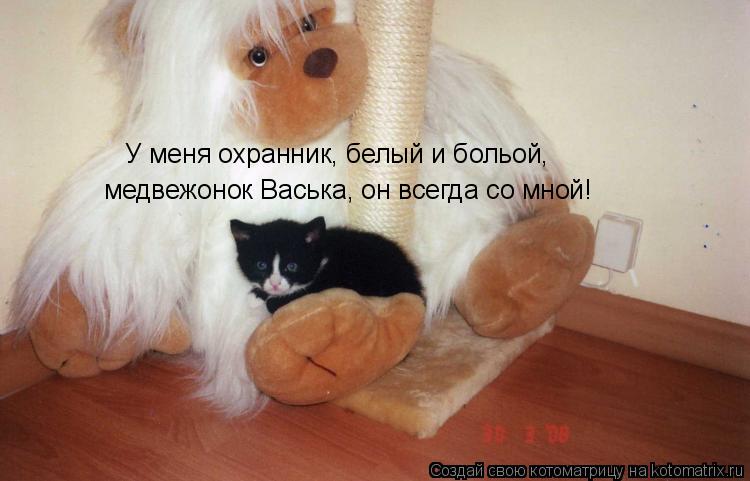 У меня охранник, белый и больой, медвежонок Васька, он всегда со мной!... Котоматрица: У меня охранник, белый и больой, медвежонок Васька, он всегда со мной!