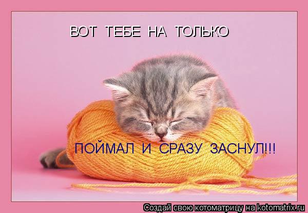 Котоматрица: ВОТ  ТЕБЕ  НА  ТОЛЬКО ПОЙМАЛ  И  СРАЗУ  ЗАСНУЛ!!!
