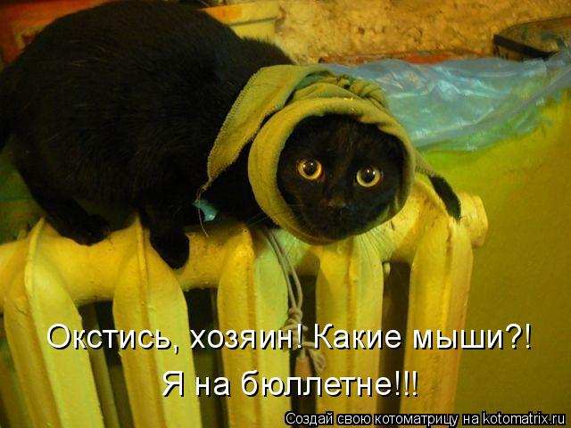 Окстись, хозяин! Какие мыши?! Я на бюллетне!!!... Котоматрица: Окстись, хозяин! Какие мыши?! Я на бюллетне!!!