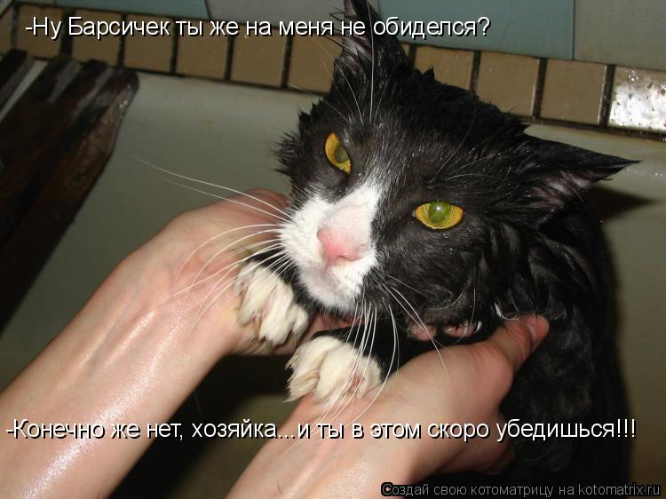 -Ну Барсичек ты же на меня не обиделся? -Конечно же нет, хозяйка...и ты в этом скоро убедишься!!!... Котоматрица: -Ну Барсичек ты же на меня не обиделся? -Конечно же нет, хозяйка...и ты в этом скоро убедишься!!!