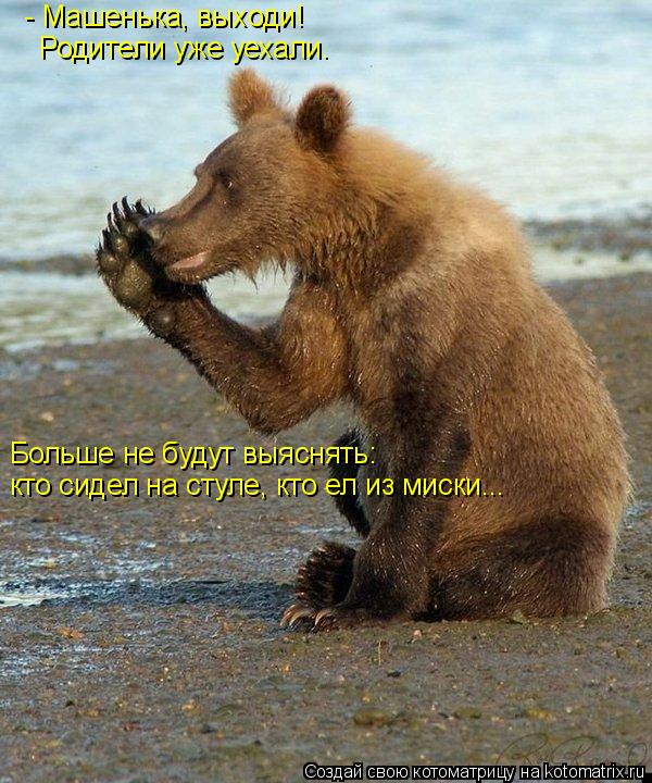 - Машенька, выходи! Родители уже уехали. Больше не будут выяснять: кто сидел на стуле, кто ел из мис... Котоматрица: - Машенька, выходи! Родители уже уехали. Больше не будут выяснять: кто сидел на стуле, кто ел из миски...