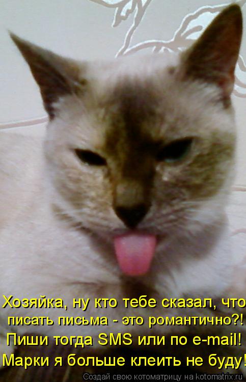 Котоматрица: Хозяйка, ну кто тебе сказал, что писать письма - это романтично?! Марки я больше клеить не буду! Пиши тогда SMS или по e-mail!