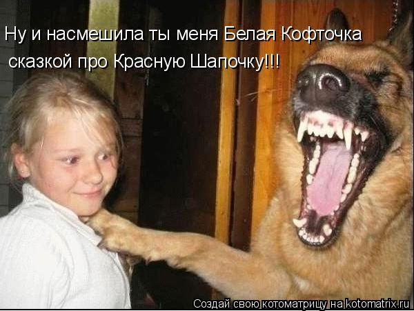 Котоматрица: Ну и насмешила ты меня Белая Кофточка сказкой про Красную Шапочку!!!