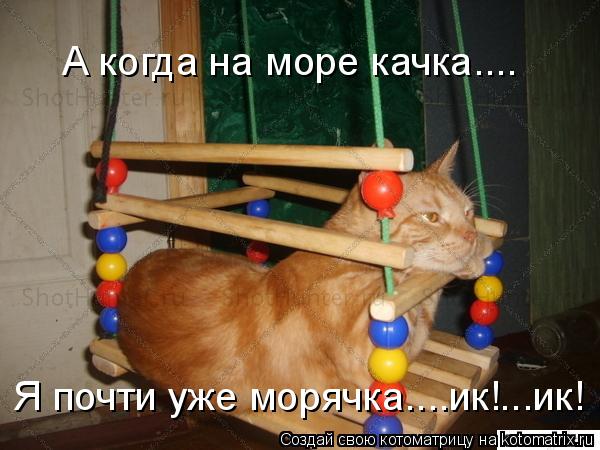 Котоматрица: А когда на море качка....  Я почти уже морячка....ик!...ик!