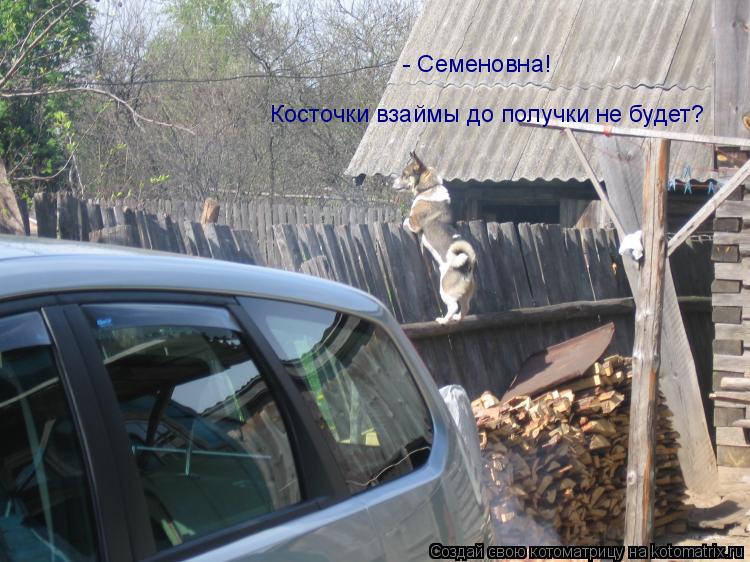 - Семеновна! Косточки взаймы до получки не будет?... Котоматрица: - Семеновна! Косточки взаймы до получки не будет?