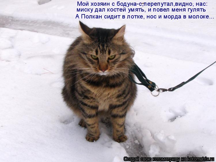 Мой хозяин с бодуна-с,перепутал,видно, нас: миску дал костей умять, и повел меня гулять А Полкан сиди... Котоматрица: Мой хозяин с бодуна-с,перепутал,видно, нас: миску дал костей умять, и повел меня гулять А Полкан сидит в лотке, нос и морда в молоке...
