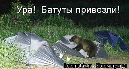 Ура! Батуты привезли!... Котоматрица: Ура! Батуты привезли!