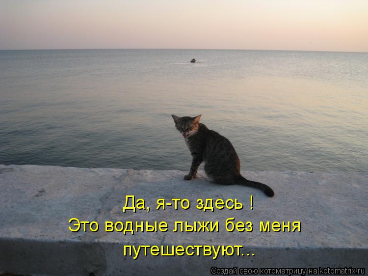 Да, я-то здесь ! Это водные лыжи без меня путешествуют...... Котоматрица: Да, я-то здесь ! Это водные лыжи без меня путешествуют...