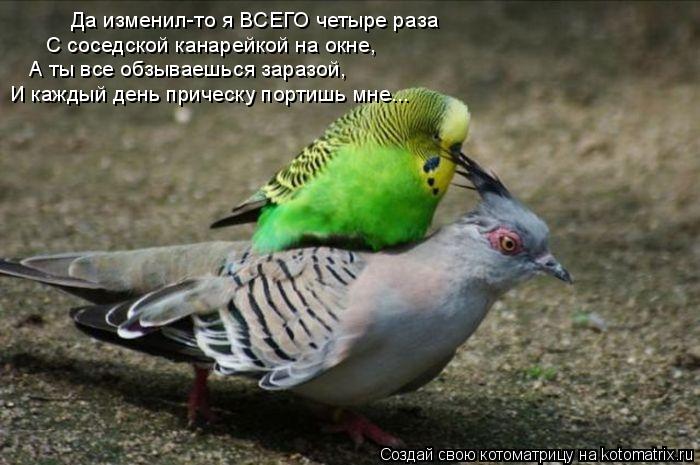 Да изменил-то я ВСЕГО четыре раза С соседской канарейкой на окне, А ты все обзываешься заразой, И каж... Котоматрица: Да изменил-то я ВСЕГО четыре раза С соседской канарейкой на окне, А ты все обзываешься заразой, И каждый день прическу портишь мне...