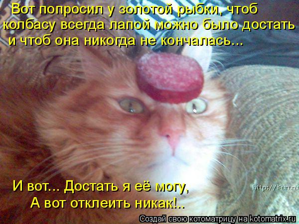 Вот попросил у золотой рыбки, чтоб колбасу всегда лапой можно было достать и чтоб она никогда не конч... Котоматрица: Вот попросил у золотой рыбки, чтоб колбасу всегда лапой можно было достать и чтоб она никогда не кончалась... И вот... Достать я её могу, А вот