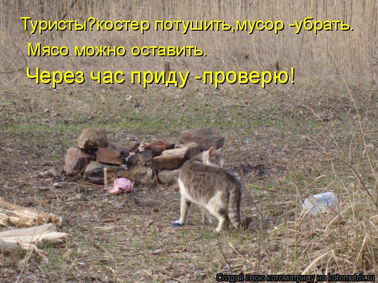 Туристы?костер потушить,мусор -убрать. Мясо можно оставить. Через час приду -проверю!... Котоматрица: Туристы?костер потушить,мусор -убрать. Мясо можно оставить. Через час приду -проверю!