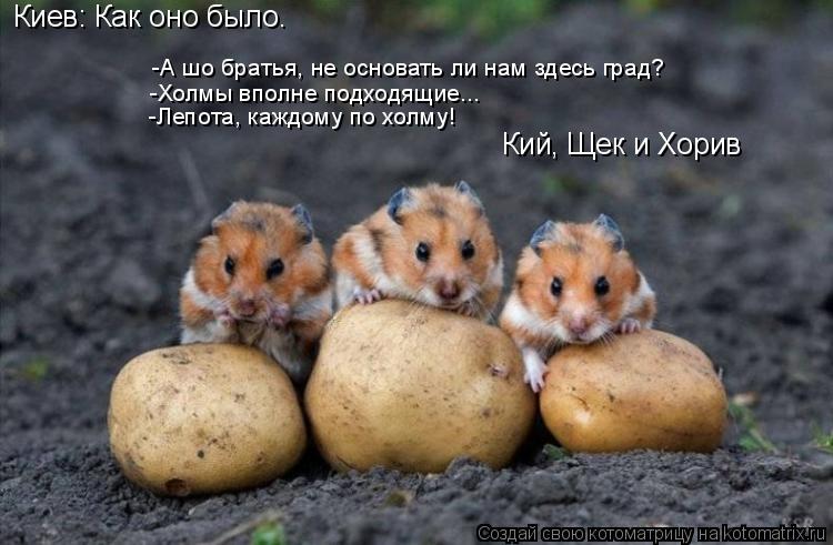 Киев: Как оно было. -А шо братья, не основать ли нам здесь град? -Холмы вполне подходящие... -Лепота,... Котоматрица: Киев: Как оно было. -А шо братья, не основать ли нам здесь град? -Холмы вполне подходящие... -Лепота, каждому по холму! Кий, Щек и Хорив