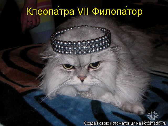 Клеопа́тра VII Филопа́тор... Котоматрица: Клеопа́тра VII Филопа́тор