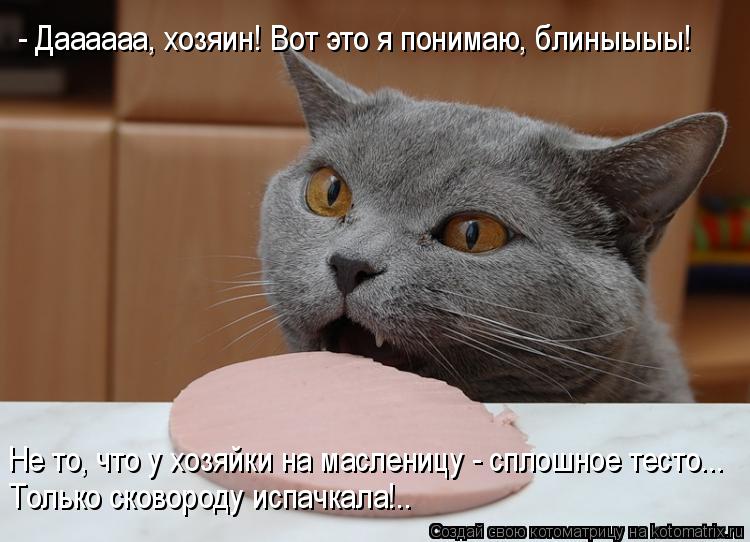 - Даааааа, хозяин! Вот это я понимаю, блиныыыы! Не то, что у хозяйки на масленицу - сплошное тесто...... Котоматрица: - Даааааа, хозяин! Вот это я понимаю, блиныыыы! Не то, что у хозяйки на масленицу - сплошное тесто... Только сковороду испачкала!..