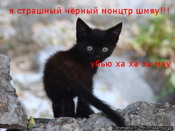 Котоматрица: я страшный чёрный монцтр шмяу!!! убью ха ха ха мяу