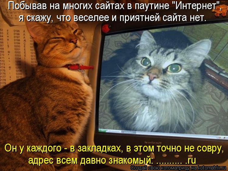 Побывав на многих сайтах в паутине "Интернет", я скажу, что веселее и приятней сайта нет. Он у каждог... Котоматрица: Побывав на многих сайтах в паутине "Интернет", я скажу, что веселее и приятней сайта нет. Он у каждого - в закладках, в этом точно не совру, адр