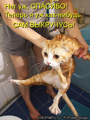 Нет уж, СПАСИБО! Теперь я уж как-нибудь САМ ВЫКРУЧУСЬ!... Котоматрица: Нет уж, СПАСИБО! Теперь я уж как-нибудь САМ ВЫКРУЧУСЬ!