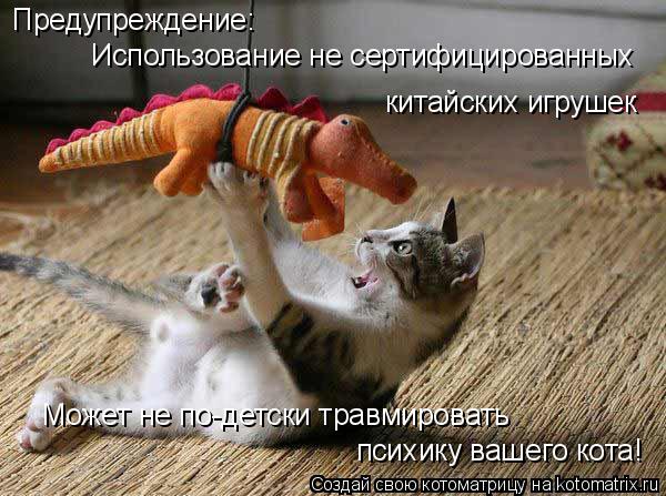Предупреждение: Использование не сертифицированных китайских игрушек Может не по-детски травмировать ... Котоматрица: Предупреждение: Использование не сертифицированных китайских игрушек Может не по-детски травмировать психику вашего кота!