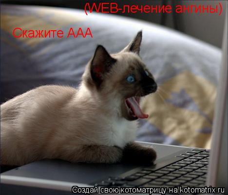 (WEB-лечение ангины) Скажите ААА... Котоматрица: (WEB-лечение ангины) Скажите ААА