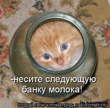 -несите следующую банку молока!... Котоматрица: -несите следующую банку молока!