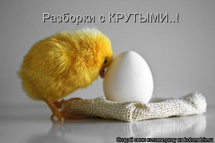 Разборки с КРУТЫМИ..!... Котоматрица: Разборки с КРУТЫМИ..!