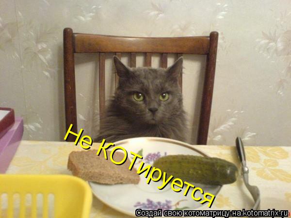 Не КОТируется... Котоматрица: Не КОТируется