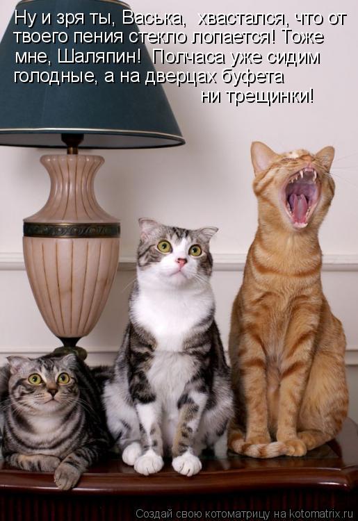 Ну и зря ты, Васька, хвастался, что от твоего пения стекло лопается! Тоже мне, Шаляпин! Полчаса уже... Котоматрица: Ну и зря ты, Васька, хвастался, что от твоего пения стекло лопается! Тоже мне, Шаляпин! Полчаса уже сидим голодные, а на дверцах буфета ни тр