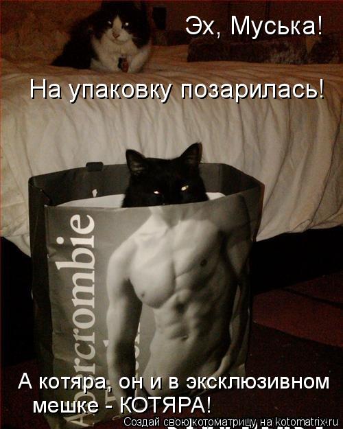Эх, Муська! На упаковку позарилась! А котяра, он и в эксклюзивном мешке - КОТЯРА!... Котоматрица: Эх, Муська! На упаковку позарилась! А котяра, он и в эксклюзивном мешке - КОТЯРА!