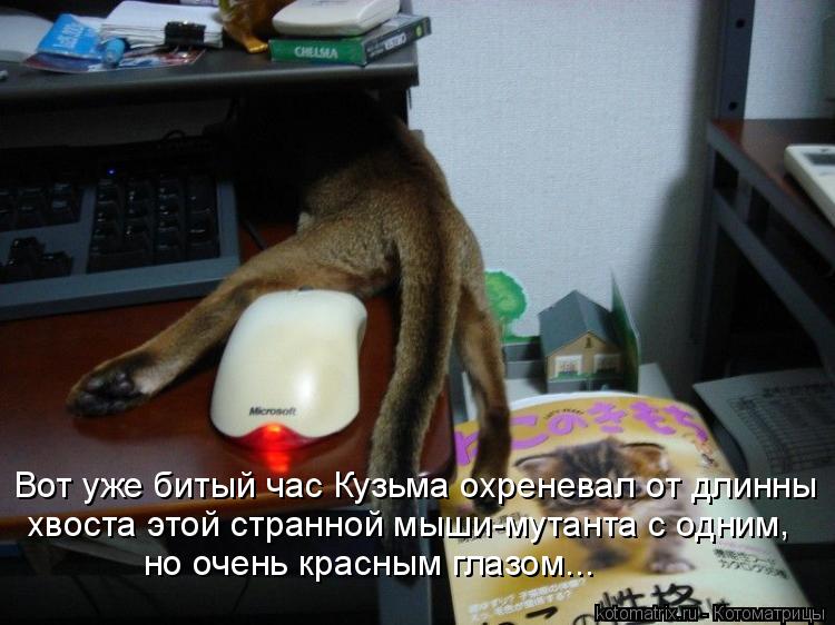 Вот уже битый час Кузьма охреневал от длинны хвоста этой странной мыши-мутанта с одним но очень красн... Котоматрица: Вот уже битый час Кузьма охреневал от длинны хвоста этой странной мыши-мутанта с одним но очень красным глазом... ,