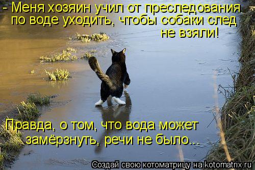 - Меня хозяин учил от преследования по воде уходить, чтобы собаки след не взяли! Правда, о том, что ... Котоматрица: - Меня хозяин учил от преследования по воде уходить, чтобы собаки след не взяли! Правда, о том, что вода может замёрзнуть, речи не было...