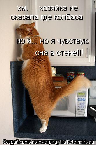 хм... хозяйка не сказала где колбаса но я... но я чувствую она в стене!!!... Котоматрица: хм... хозяйка не сказала где колбаса но я... но я чувствую она в стене!!!