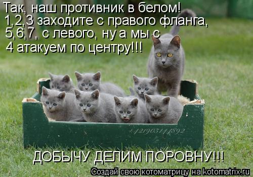 Так, наш противник в белом! 1,2,3 заходите с правого фланга, 5,6,7, с левого, ну а мы с 4 атакуем по ... Котоматрица: Так, наш противник в белом! 1,2,3 заходите с правого фланга, 5,6,7, с левого, ну а мы с 4 атакуем по центру!!! ДОБЫЧУ ДЕЛИМ ПОРОВНУ!!!