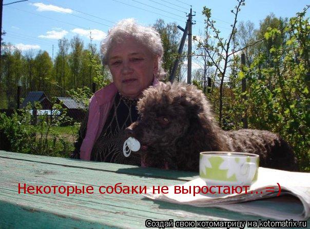 Некоторые собаки не выростают...=)... Котоматрица: Некоторые собаки не выростают...=)