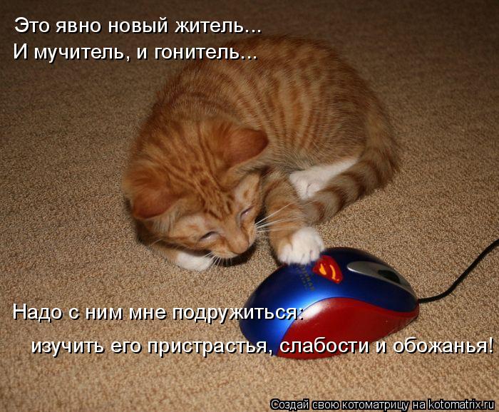 Это явно новый житель... И мучитель, и гонитель... Надо с ним мне подружиться: изучить его пристрасть... Котоматрица: Это явно новый житель... И мучитель, и гонитель... Надо с ним мне подружиться: изучить его пристрастья, слабости и обожанья!