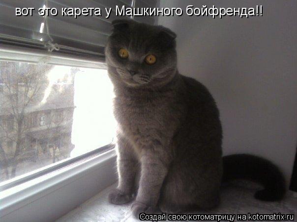 вот это карета у Машкиного бойфренда!!... Котоматрица: вот это карета у Машкиного бойфренда!!
