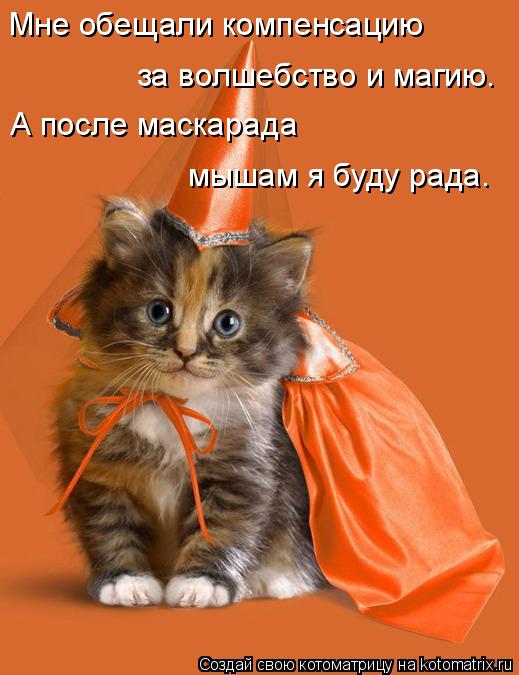 Мне обещали компенсацию за волшебство и магию. А после маскарада мышам я буду рада.... Котоматрица: Мне обещали компенсацию за волшебство и магию. А после маскарада мышам я буду рада.