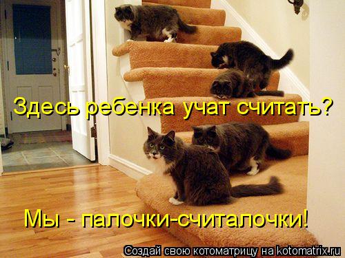 Здесь ребенка учат считать? Мы - палочки-считалочки!... Котоматрица: Здесь ребенка учат считать? Мы - палочки-считалочки!
