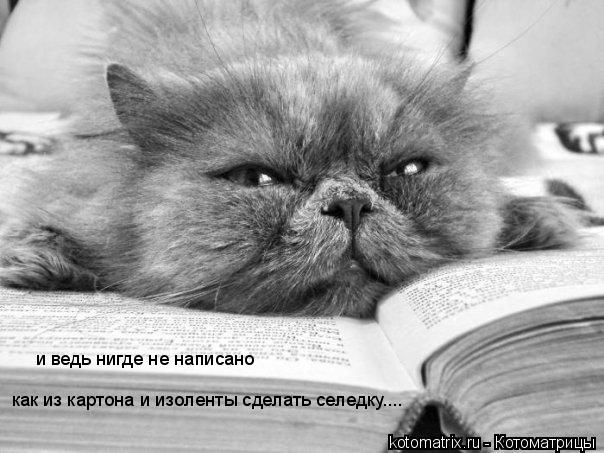 и ведь нигде не написано как из картона и изоленты сделать селедку....... Котоматрица: и ведь нигде не написано как из картона и изоленты сделать селедку....