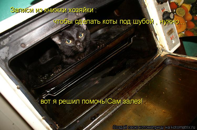 Записи из книжки хозяйки : чтобы сделать коты под шубой , нужно... вот я решил помочь!Сам залез!... Котоматрица: Записи из книжки хозяйки : чтобы сделать коты под шубой , нужно... вот я решил помочь!Сам залез!