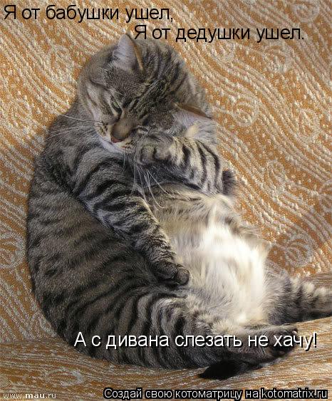 Я от бабушки ушел, Я от дедушки ушел. А с дивана слезать не хачу!... Котоматрица: Я от бабушки ушел, Я от дедушки ушел. А с дивана слезать не хачу!